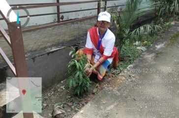 Tree Plantation Day